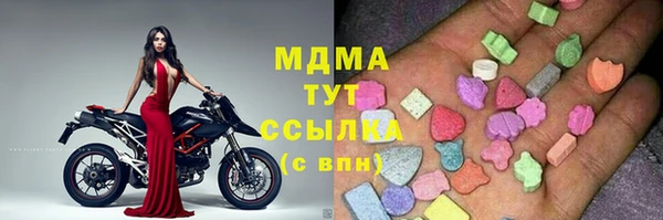 молекула духа Богданович